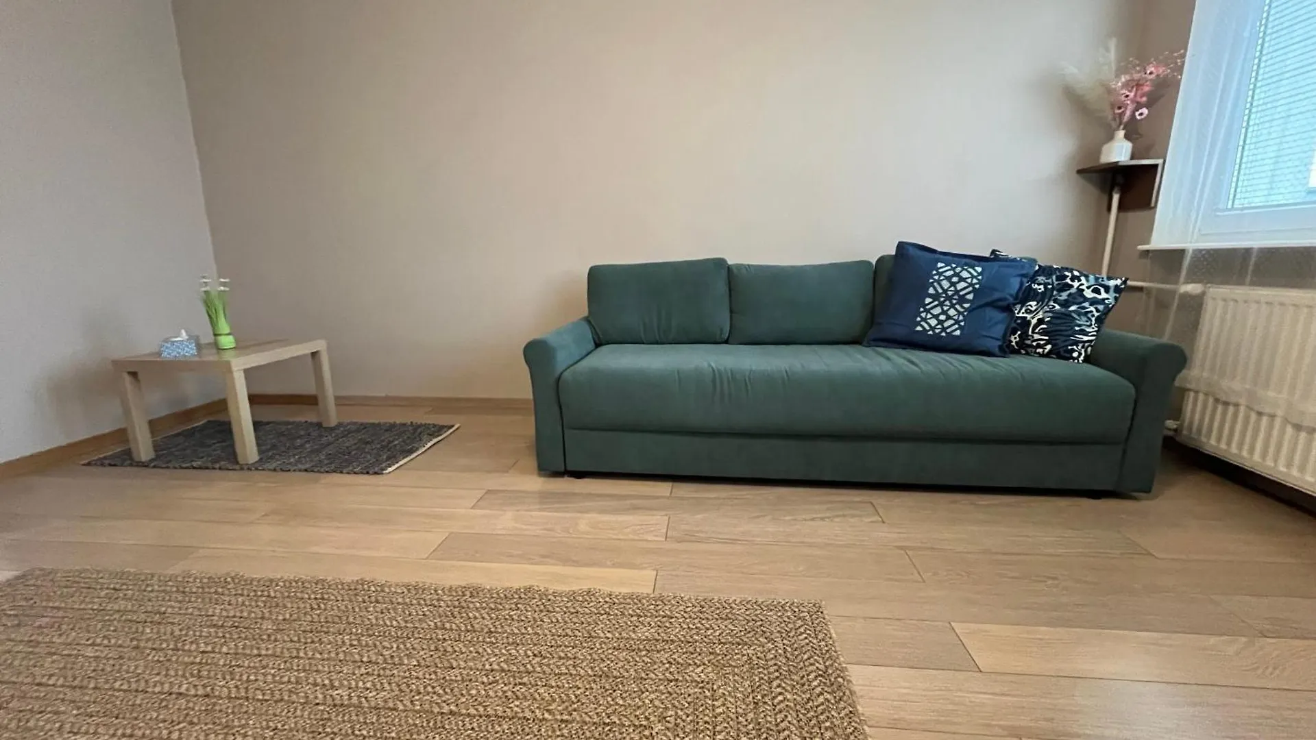 Ola Apartment Gdańsk Polen